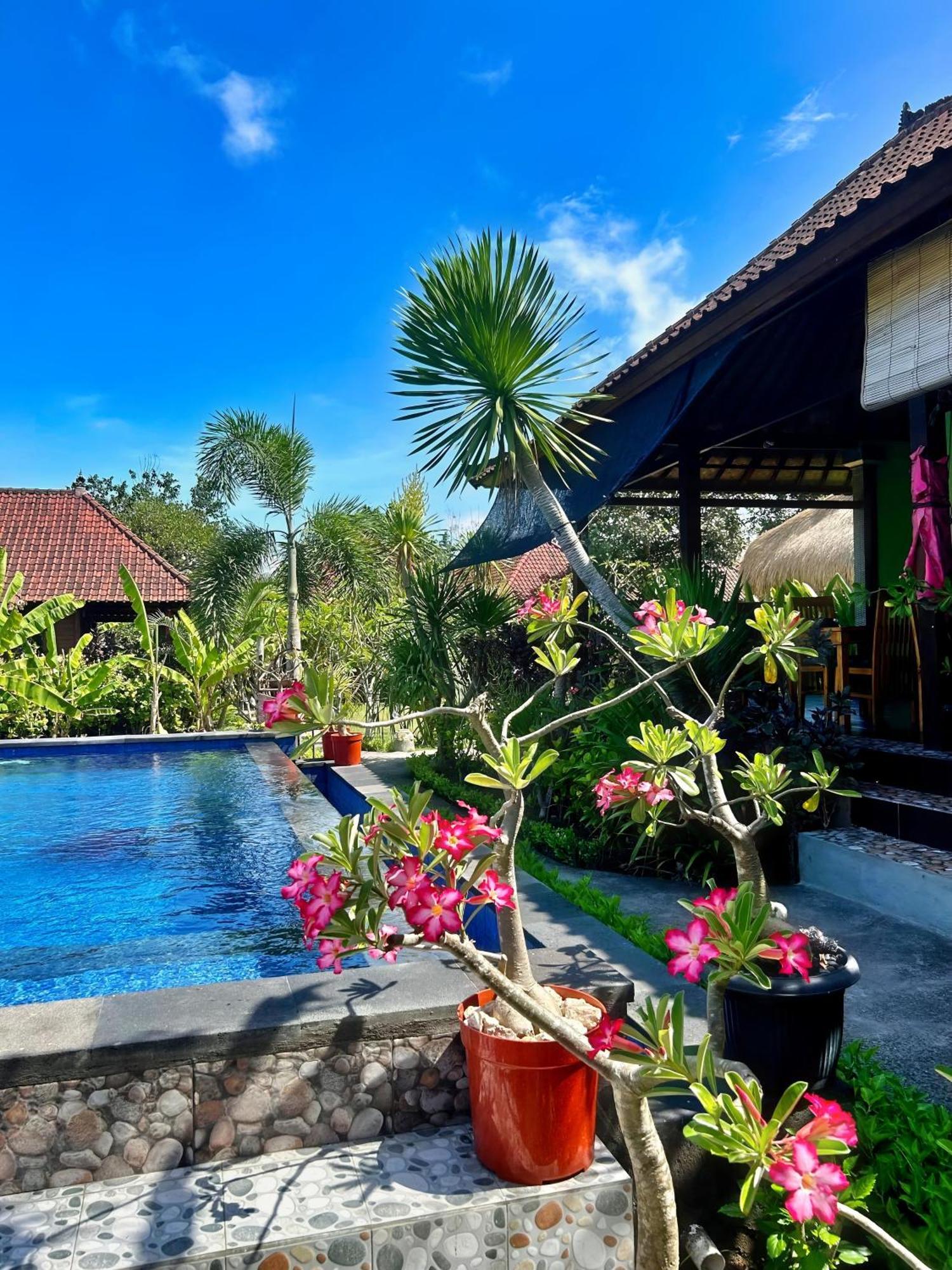 Island Garden Huts Lembongan Bed & Breakfast Exterior foto