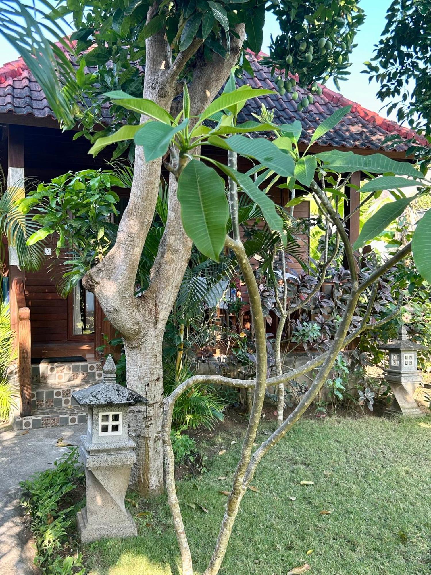 Island Garden Huts Lembongan Bed & Breakfast Exterior foto