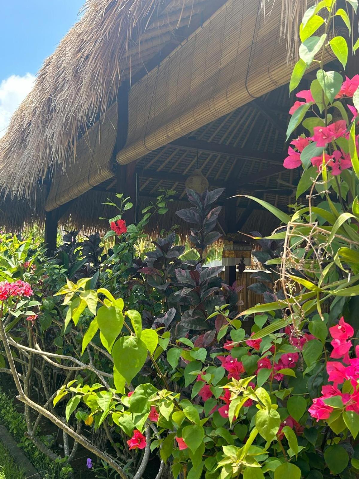Island Garden Huts Lembongan Bed & Breakfast Exterior foto