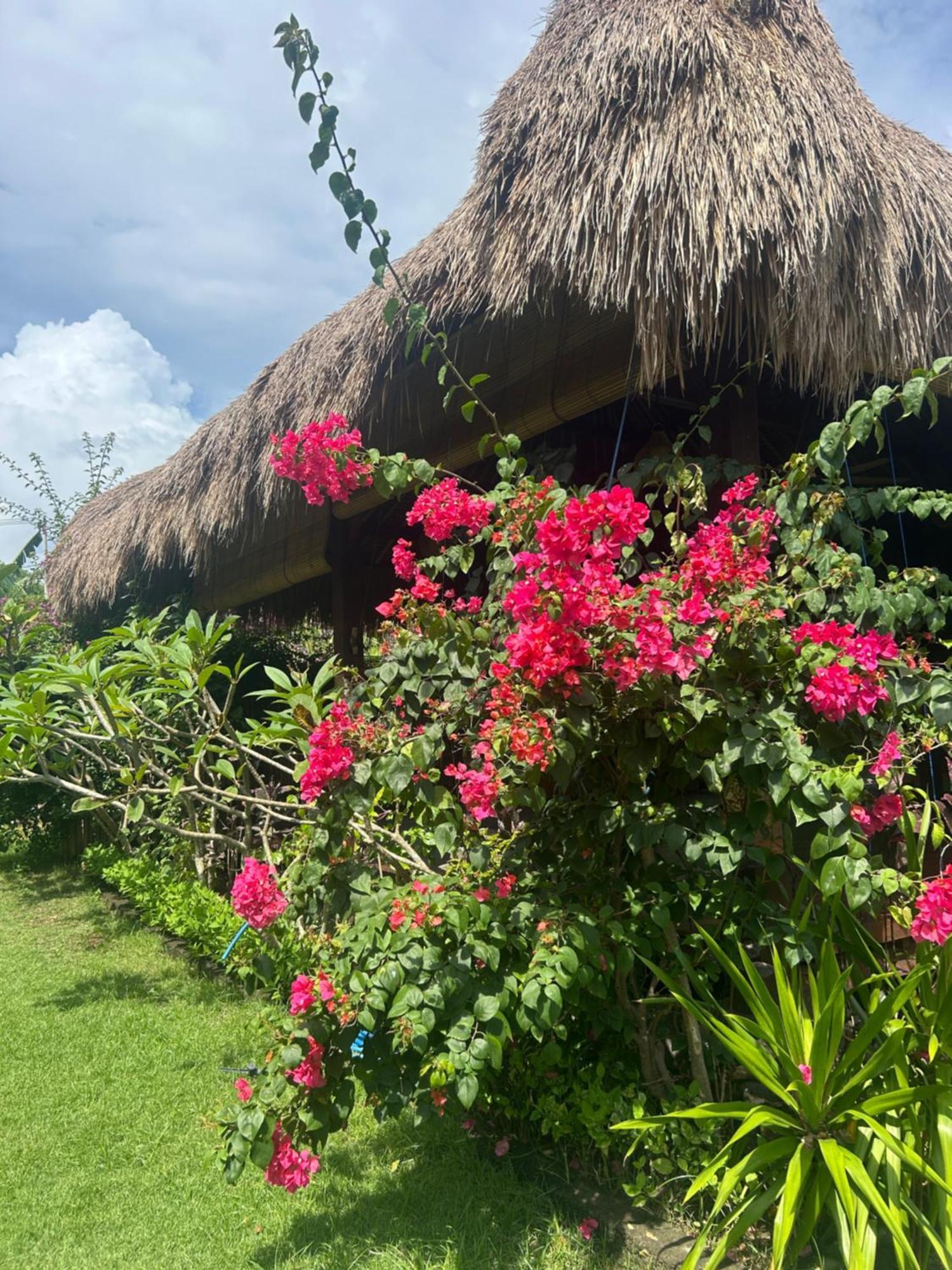 Island Garden Huts Lembongan Bed & Breakfast Exterior foto