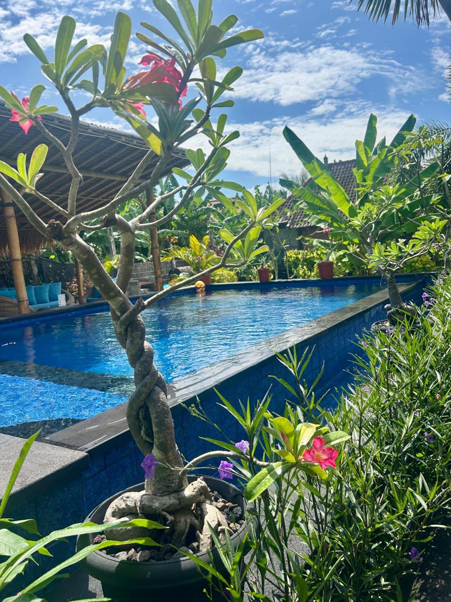 Island Garden Huts Lembongan Bed & Breakfast Exterior foto