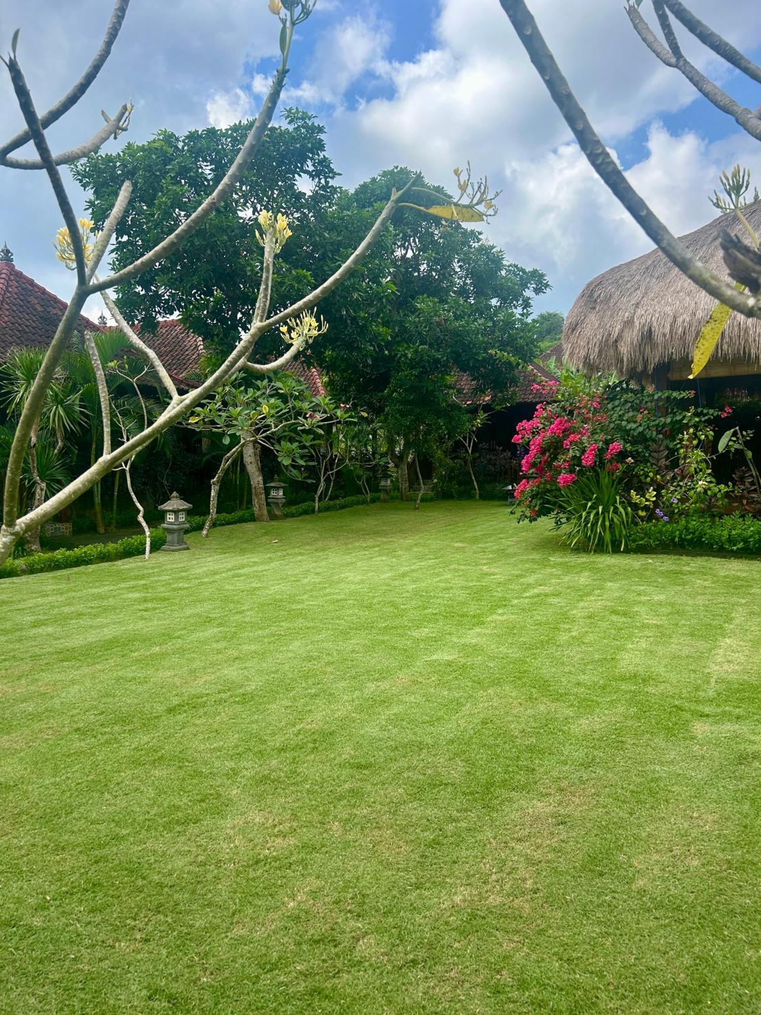 Island Garden Huts Lembongan Bed & Breakfast Exterior foto