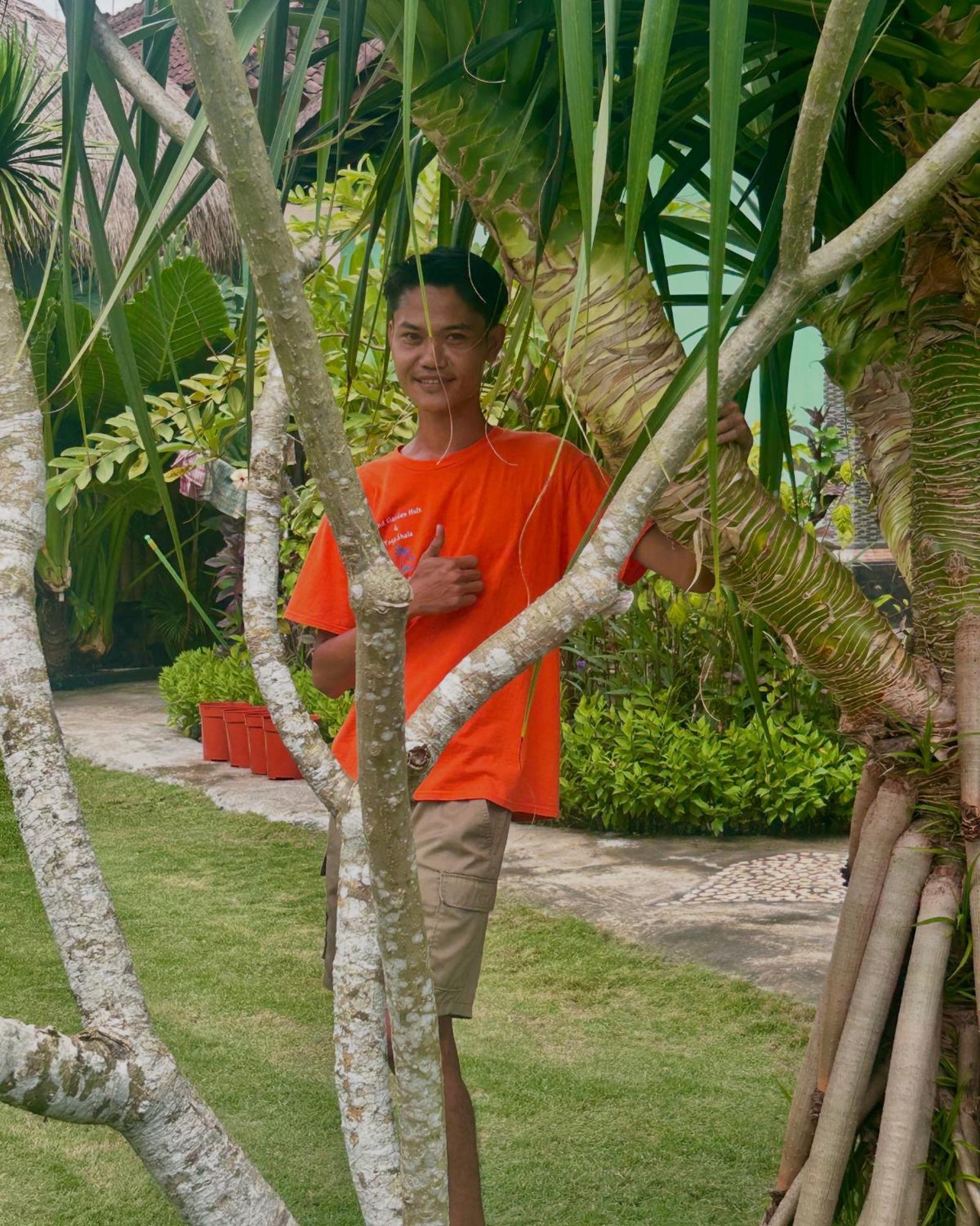 Island Garden Huts Lembongan Bed & Breakfast Exterior foto